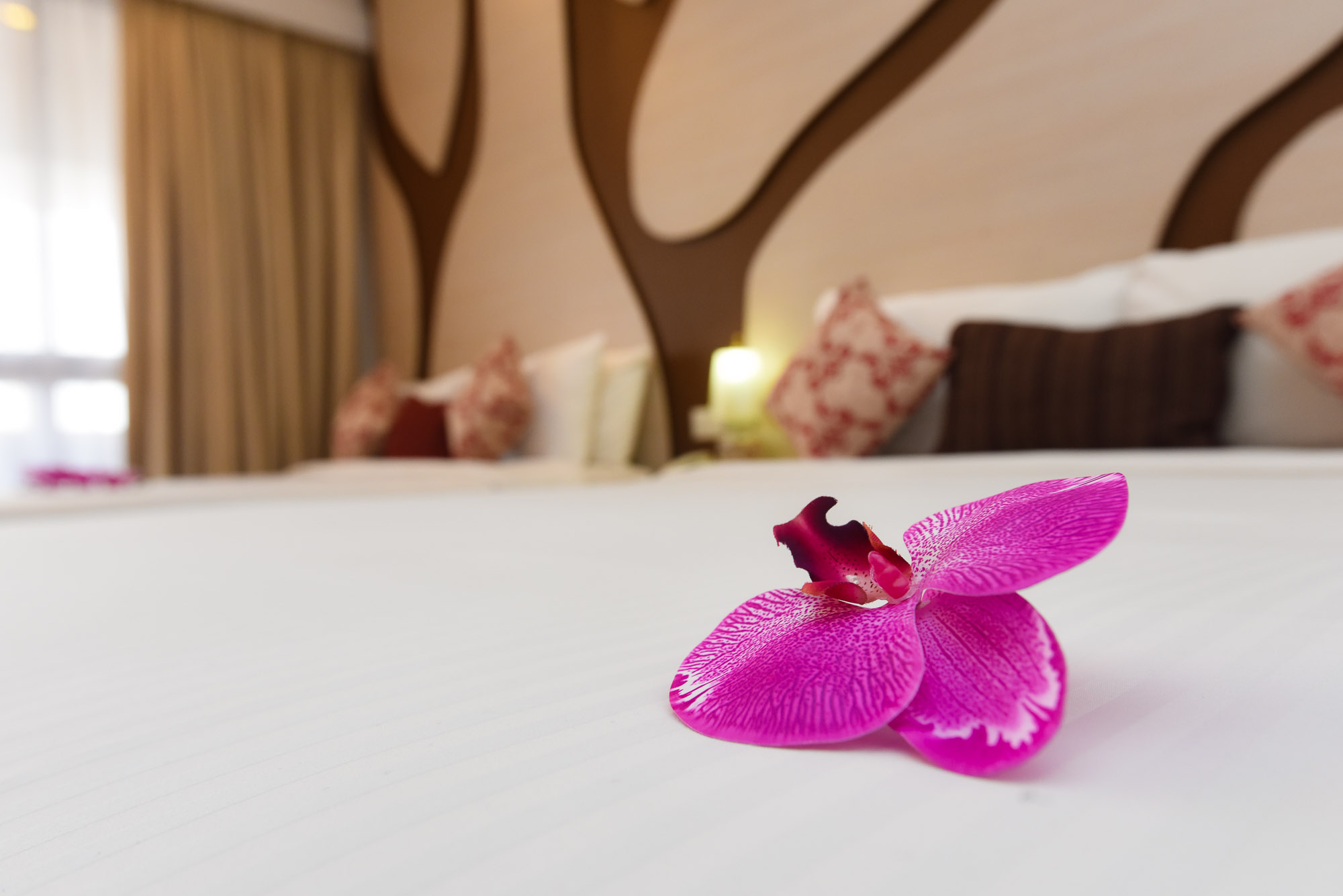 Pamper yourself in this wood themed Wood Suite. Let yourself be blown away by the comfort with the room design, comes equipped with necessities such as air-conditioning, satellite television, complimentary WiFi, in-room safe, hair dryer and much more.